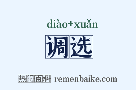 调选是什么意思的图片